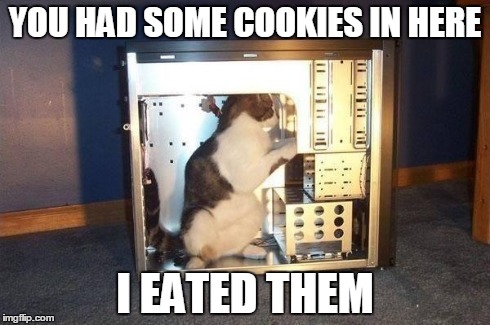 cat in computer | YOU HAD SOME COOKIES IN HERE I EATED THEM | image tagged in cat in computer | made w/ Imgflip meme maker