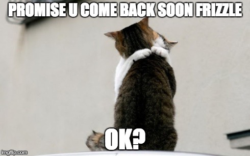PROMISE U COME BACK SOON FRIZZLE OK? | made w/ Imgflip meme maker