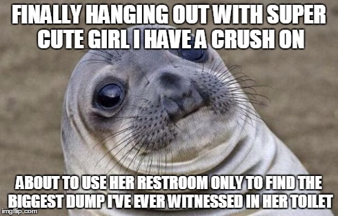 Awkward Moment Sealion | FINALLY HANGING OUT WITH SUPER CUTE GIRL I HAVE A CRUSH ON ABOUT TO USE HER RESTROOM ONLY TO FIND THE BIGGEST DUMP I'VE EVER WITNESSED IN HE | image tagged in memes,awkward moment sealion | made w/ Imgflip meme maker