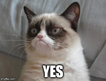 grumpy-cat-yes | YES | image tagged in grumpy-cat-yes | made w/ Imgflip meme maker