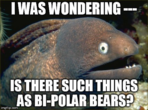 Bad Joke Eel Meme | I WAS WONDERING --- IS THERE SUCH THINGS AS
BI-POLAR BEARS? | image tagged in memes,bad joke eel | made w/ Imgflip meme maker
