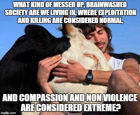 Veganism | WHAT KIND OF MESSED UP, BRAINWASHED SOCIETY ARE WE LIVING IN, WHERE EXPLOITATION AND KILLING ARE CONSIDERED NORMAL, AND COMPASSION AND NON V | image tagged in compassion | made w/ Imgflip meme maker