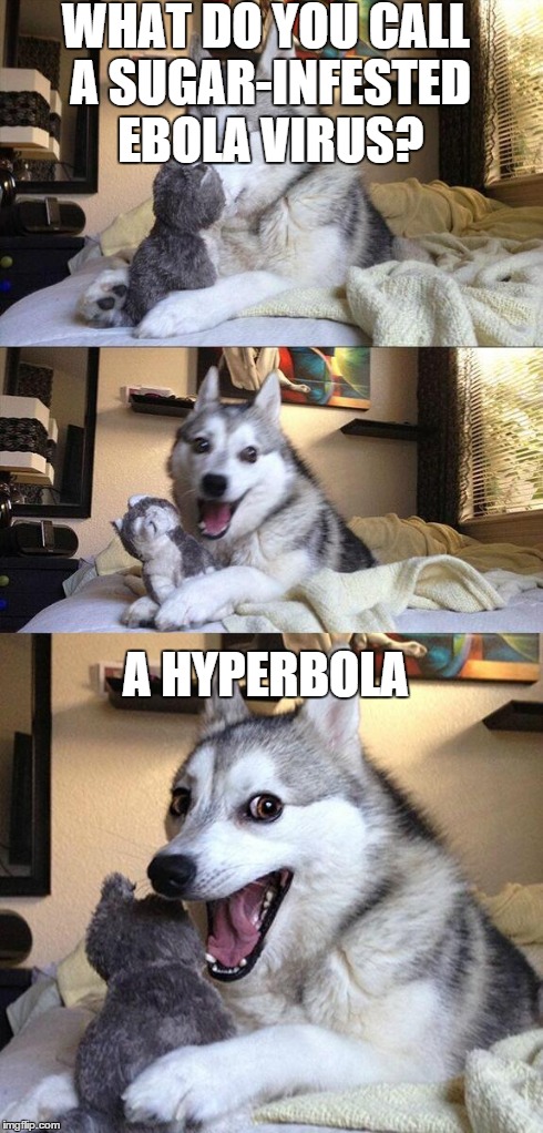 Bad Pun Dog Meme | WHAT DO YOU CALL A SUGAR-INFESTED EBOLA VIRUS? A HYPERBOLA | image tagged in memes,bad pun dog | made w/ Imgflip meme maker