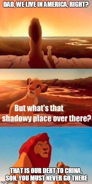 Simba Shadowy Place Meme | DAD, WE LIVE IN AMERICA, RIGHT? THAT IS OUR DEBT TO CHINA, SON. YOU MUST NEVER GO THERE | image tagged in memes,simba shadowy place | made w/ Imgflip meme maker