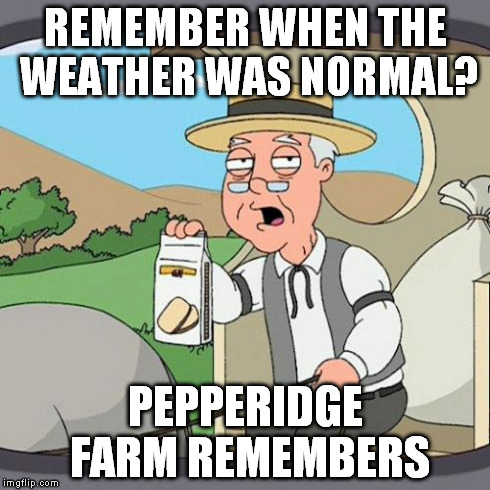Pepperidge Farm Remembers Meme | REMEMBER WHEN THE WEATHER WAS NORMAL? PEPPERIDGE FARM REMEMBERS | image tagged in memes,pepperidge farm remembers | made w/ Imgflip meme maker
