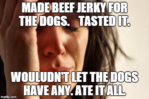 beef jerky | MADE BEEF JERKY FOR THE DOGS.    TASTED IT. WOULUDN'T LET THE DOGS HAVE ANY. ATE IT ALL. | image tagged in memes,first world problems | made w/ Imgflip meme maker