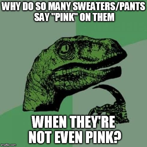 I've actually been wondering this for a long time... | WHY DO SO MANY SWEATERS/PANTS SAY "PINK" ON THEM WHEN THEY'RE NOT EVEN PINK? | image tagged in memes,philosoraptor | made w/ Imgflip meme maker