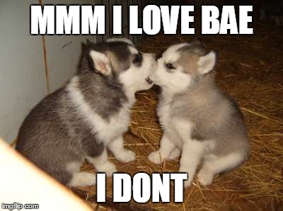 Cute Puppies Meme | MMM I LOVE BAE I DONT | image tagged in memes,cute puppies | made w/ Imgflip meme maker