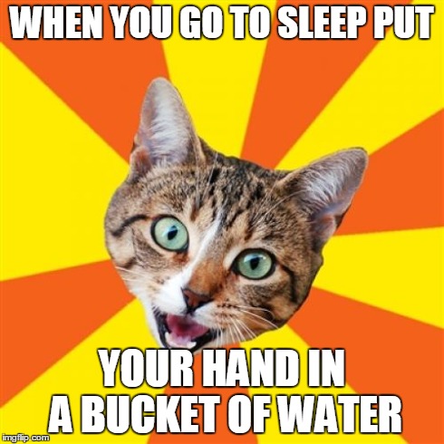 Bad Advice Cat | WHEN YOU GO TO SLEEP PUT YOUR HAND IN A BUCKET OF WATER | image tagged in memes,bad advice cat | made w/ Imgflip meme maker
