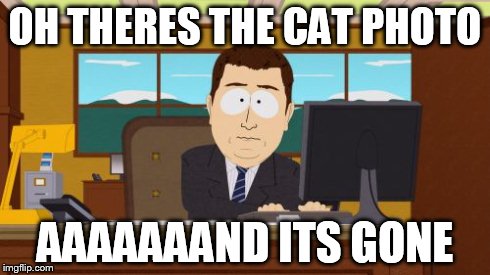 Aaaaand Its Gone | OH THERES THE CAT PHOTO AAAAAAAND ITS GONE | image tagged in memes,aaaaand its gone | made w/ Imgflip meme maker