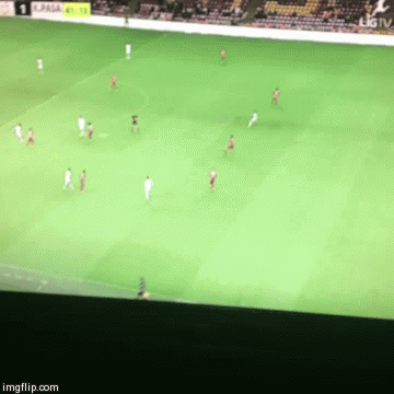 dohp1.gif