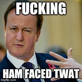 David Cameron | F**KING HAM FACED TWAT | image tagged in david cameron | made w/ Imgflip meme maker