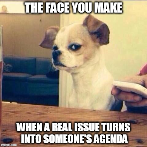 Skeptical Chihuahua | THE FACE YOU MAKE WHEN A REAL ISSUE TURNS INTO SOMEONE'S AGENDA | image tagged in skeptical chihuahua | made w/ Imgflip meme maker