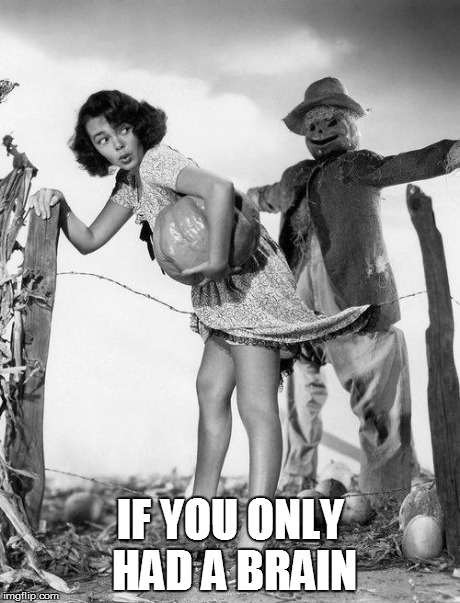 scarecrow | IF YOU ONLY HAD A BRAIN | image tagged in scarecrow | made w/ Imgflip meme maker