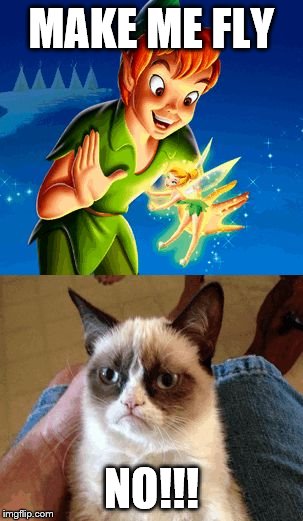 Grumpy Cat Does Not Believe | MAKE ME FLY NO!!! | image tagged in memes,grumpy cat does not believe | made w/ Imgflip meme maker