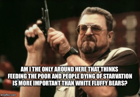 AM I THE ONLY AROUND HERE THAT THINKS FEEDING THE POOR AND PEOPLE DYING OF STARVATION IS MORE IMPORTANT THAN WHITE FLUFFY BEARS? | image tagged in memes,am i the only one around here | made w/ Imgflip meme maker