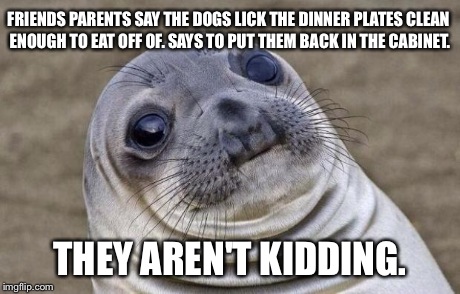 Awkward Moment Sealion | FRIENDS PARENTS SAY THE DOGS LICK THE DINNER PLATES CLEAN ENOUGH TO EAT OFF OF. SAYS TO PUT THEM BACK IN THE CABINET. THEY AREN'T KIDDING. | image tagged in memes,awkward moment sealion | made w/ Imgflip meme maker