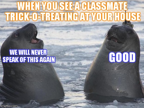 You don't get extra candy just because I know you | WHEN YOU SEE A CLASSMATE TRICK-O-TREATING AT YOUR HOUSE WE WILL NEVER SPEAK OF THIS AGAIN GOOD | image tagged in two awkward seals | made w/ Imgflip meme maker