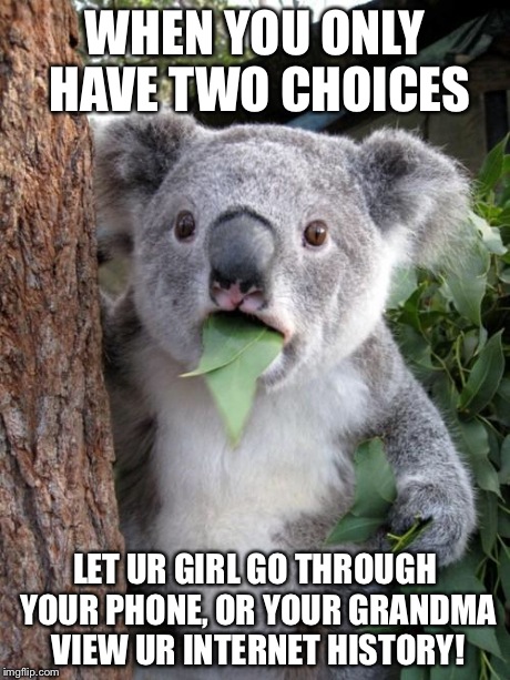 Surprised Koala Meme | WHEN YOU ONLY HAVE TWO CHOICES LET UR GIRL GO THROUGH YOUR PHONE, OR YOUR GRANDMA VIEW UR INTERNET HISTORY! | image tagged in memes,surprised koala | made w/ Imgflip meme maker