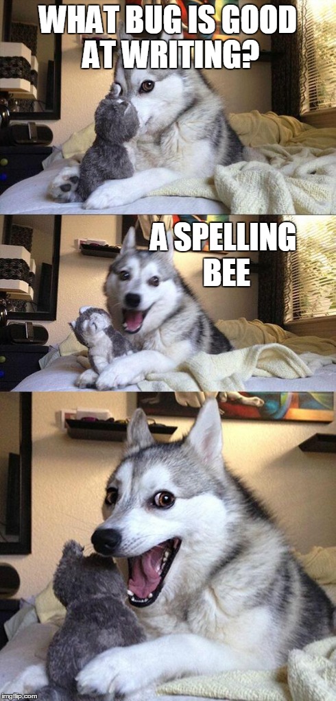 Bad Pun Dog | WHAT BUG IS GOOD AT WRITING? A SPELLING BEE | image tagged in memes,bad pun dog | made w/ Imgflip meme maker