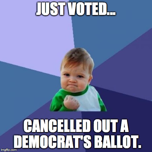 Success Kid Meme | JUST VOTED... CANCELLED OUT A DEMOCRAT'S BALLOT. | image tagged in memes,success kid | made w/ Imgflip meme maker