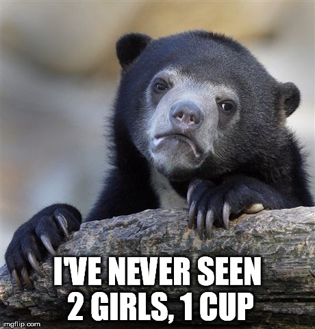 Confession Bear Meme | I'VE NEVER SEEN 2 GIRLS, 1 CUP | image tagged in memes,confession bear | made w/ Imgflip meme maker