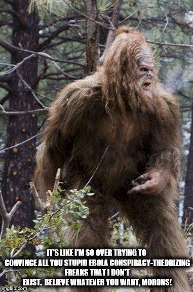 sasquatch | IT'S LIKE I'M SO OVER TRYING TO CONVINCE ALL YOU STUPID EBOLA CONSPIRACY-THEORIZING FREAKS THAT I DON'T EXIST.  BELIEVE WHATEVER YOU WANT, M | image tagged in sasquatch | made w/ Imgflip meme maker