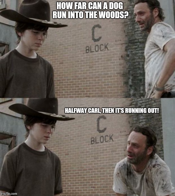 Lame dad joke | HOW FAR CAN A DOG RUN INTO THE WOODS? HALFWAY CARL, THEN IT'S RUNNING OUT! | image tagged in memes,rick and carl,the walking dead | made w/ Imgflip meme maker