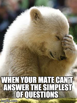 Facepalm Bear | WHEN YOUR MATE CAN'T ANSWER THE SIMPLEST OF QUESTIONS | image tagged in memes,facepalm bear | made w/ Imgflip meme maker