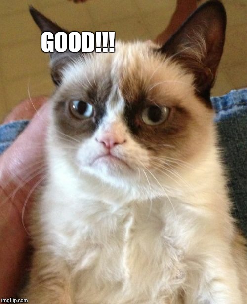 Grumpy Cat Meme | GOOD!!! | image tagged in memes,grumpy cat | made w/ Imgflip meme maker