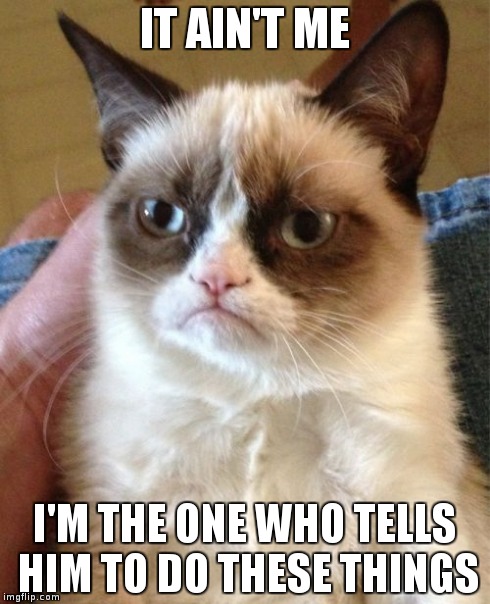 Grumpy Cat Meme | IT AIN'T ME I'M THE ONE WHO TELLS HIM TO DO THESE THINGS | image tagged in memes,grumpy cat | made w/ Imgflip meme maker