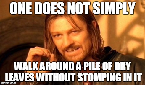 One Does Not Simply | ONE DOES NOT SIMPLY WALK AROUND A PILE OF DRY LEAVES WITHOUT STOMPING IN IT | image tagged in memes,one does not simply | made w/ Imgflip meme maker