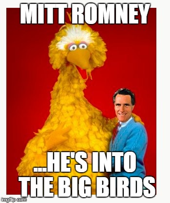 Big Bird And Mitt Romney | MITT ROMNEY ...HE'S INTO THE BIG BIRDS | image tagged in memes,big bird and mitt romney | made w/ Imgflip meme maker