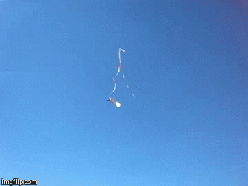 DDP over line y | image tagged in gifs,monoski,vol,freeride,rouanet,derby | made w/ Imgflip video-to-gif maker