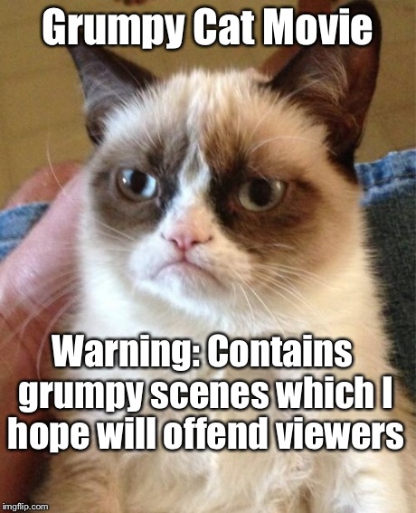 Grumpy cat gets Christmas movie on Lifetime | Grumpy Cat Movie Warning: Contains grumpy scenes which I hope will offend viewers | image tagged in memes,grumpy cat | made w/ Imgflip meme maker
