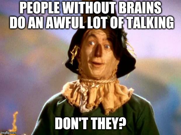 Brains! | PEOPLE WITHOUT BRAINS DO AN AWFUL LOT OF TALKING DON'T THEY? | image tagged in brains | made w/ Imgflip meme maker