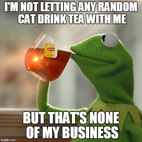But That's None Of My Business Meme | I'M NOT LETTING ANY RANDOM CAT DRINK TEA WITH ME BUT THAT'S NONE OF MY BUSINESS | image tagged in memes,but thats none of my business,kermit the frog | made w/ Imgflip meme maker