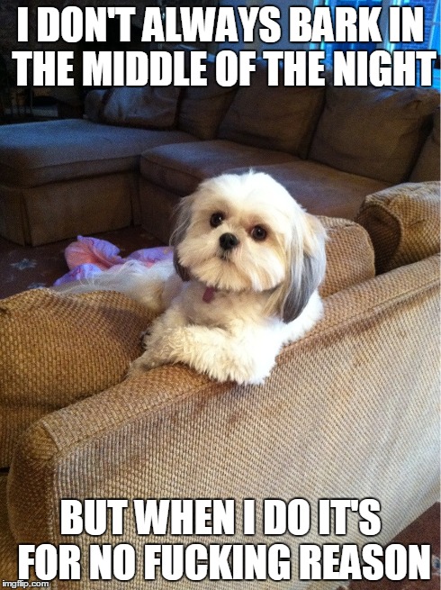 The most interesting dog in the world | I DON'T ALWAYS BARK IN THE MIDDLE OF THE NIGHT BUT WHEN I DO IT'S FOR NO F**KING REASON | image tagged in memes,dogs | made w/ Imgflip meme maker