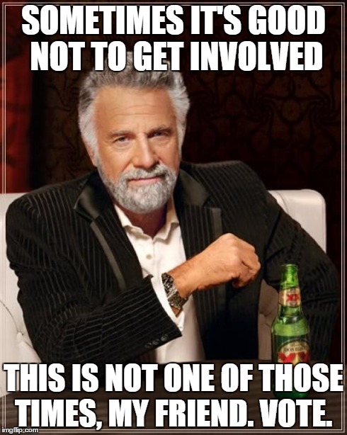The Most Interesting Man In The World Meme | SOMETIMES IT'S GOOD NOT TO GET INVOLVED THIS IS NOT ONE OF THOSE TIMES, MY FRIEND. VOTE. | image tagged in memes,the most interesting man in the world | made w/ Imgflip meme maker