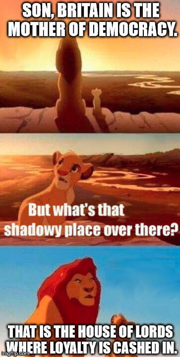 Simba Shadowy Place | SON, BRITAIN IS THE MOTHER OF DEMOCRACY. THAT IS THE HOUSE OF LORDS WHERE LOYALTY IS CASHED IN. | image tagged in memes,simba shadowy place | made w/ Imgflip meme maker