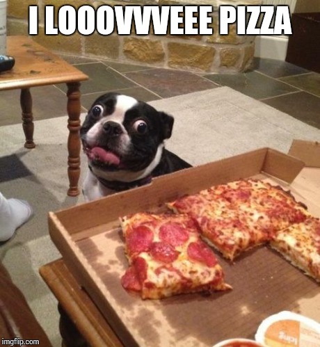 Hungry Pizza Dog | I LOOOVVVEEE PIZZA | image tagged in hungry pizza dog | made w/ Imgflip meme maker