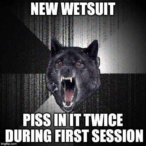 Insanity Wolf Meme | NEW WETSUIT PISS IN IT TWICE DURING FIRST SESSION | image tagged in memes,insanity wolf | made w/ Imgflip meme maker