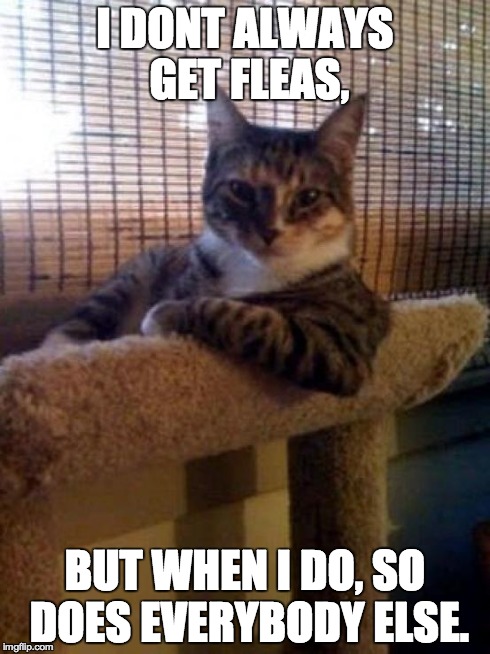 The Most Interesting Cat In The World Meme | I DONT ALWAYS GET FLEAS, BUT WHEN I DO, SO DOES EVERYBODY ELSE. | image tagged in memes,the most interesting cat in the world | made w/ Imgflip meme maker