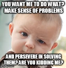 Skeptical Baby Meme | YOU WANT ME TO DO WHAT? MAKE SENSE OF PROBLEMS AND PERSEVERE IN SOLVING THEM? ARE YOU KIDDING ME? | image tagged in memes,skeptical baby | made w/ Imgflip meme maker