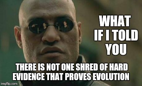 Matrix Morpheus Meme | WHAT IF I TOLD YOU THERE IS NOT ONE SHRED OF HARD EVIDENCE THAT PROVES EVOLUTION | image tagged in memes,matrix morpheus | made w/ Imgflip meme maker