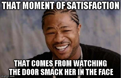 Yo Dawg Heard You Meme | THAT MOMENT OF SATISFACTION THAT COMES FROM WATCHING THE DOOR SMACK HER IN THE FACE | image tagged in memes,yo dawg heard you | made w/ Imgflip meme maker