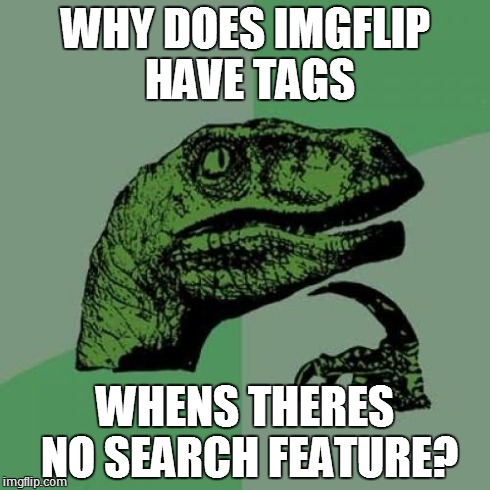 Philosoraptor Meme | WHY DOES IMGFLIP HAVE TAGS WHENS THERES NO SEARCH FEATURE? | image tagged in memes,philosoraptor | made w/ Imgflip meme maker