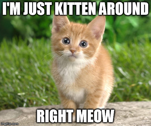 kitten around | I'M JUST KITTEN AROUND RIGHT MEOW | image tagged in kitten,kidding,meow,right meow,cat | made w/ Imgflip meme maker