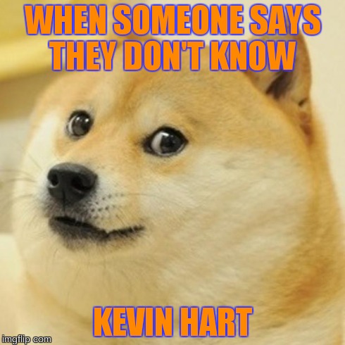 Doge Meme | WHEN SOMEONE SAYS THEY DON'T KNOW KEVIN HART | image tagged in memes,doge | made w/ Imgflip meme maker