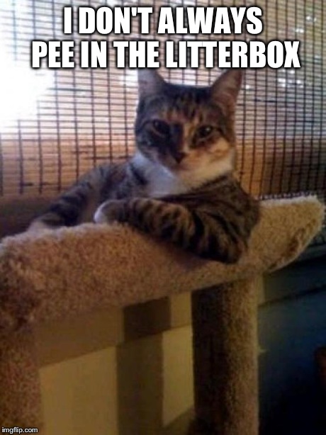 The Most Interesting Cat In The World | I DON'T ALWAYS PEE IN THE LITTERBOX | image tagged in memes,the most interesting cat in the world | made w/ Imgflip meme maker